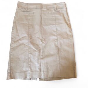 Ann Taylor Pencil Skirt